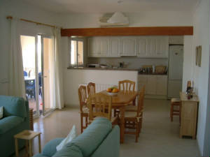 diningareaandkitchen.jpg